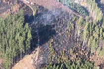 Požár vypukl v neděli odpoledne v lese u Hostěnic na Brněnsku, kde hořela plocha dvou hektarů.