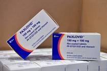 Proti vážnému průběhu Covidu-19 mohou jihomoravským pacientům nově pomoci tablety Paxlovid.