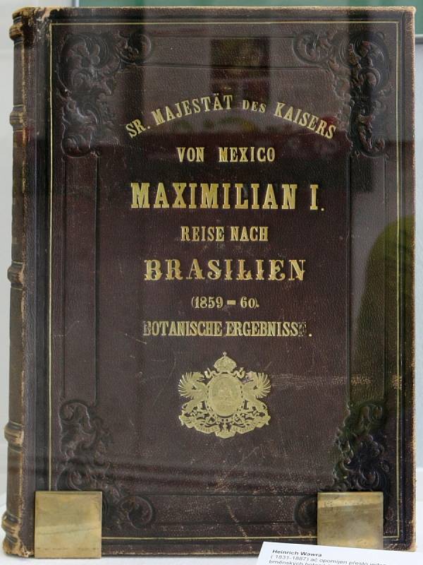 Výstava ke stoletému výročí založení České botanické společnosti dorazila do Brna. Od úterý si mohou návštěvníci prohlédnout zajímavosti z botanického světa v Moravském zemském muzeu.