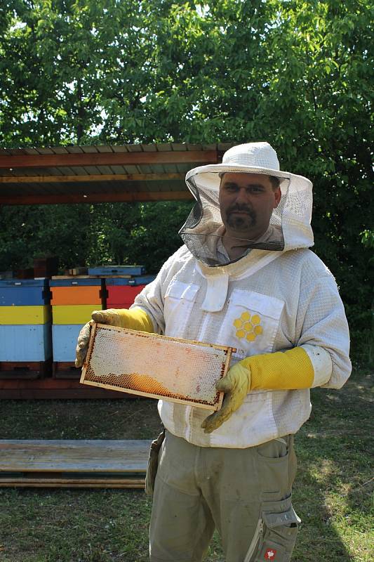 O včelstva na Ústředním hřbitově v Brně se stará včelař Martin Brzobohatý s kolegy.