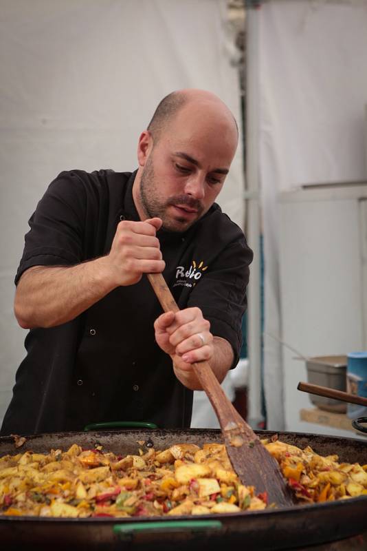 Festival zdraví a pohody v brněnských Lužánkách.