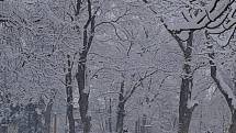 Jižní Morava pod sněhem.