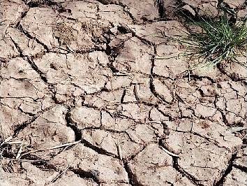 Půda hnědočervené barvy, modré nebe a sytě zelená tráva. Takové je africké Maroko v dubnu, v období mezi vytrvalými dešti a velmi suchým létem.