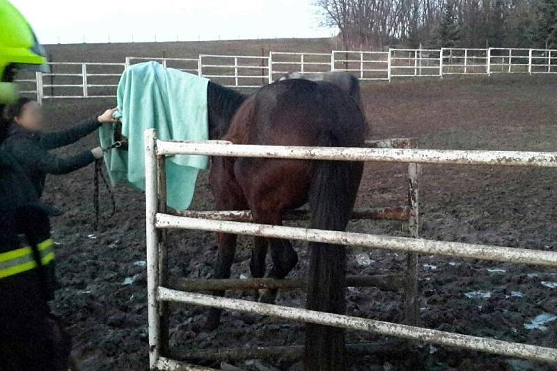 Kromě drobných požárů zachraňovali Jihomoravští hasiči na Silvestra ženu na rozhledně i zaklíněného koně.