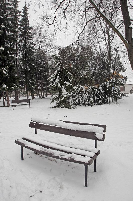 Park v Trnkově ulici, který vznikl na místě bývalého hřbitova, často navštěvují děti z blízkých škol. 