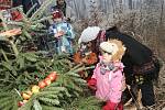 Děti zdobily vánoční stromek pro zvířata.