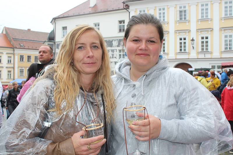 Návštěvníci si Pálavské vinobraní užívali i v dešti.