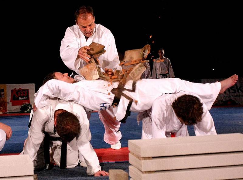 Ukázky aikida, taek-wonda, karate a dalších bojových sportů mohli v neděli odpoledne sledovat diváci v hale Vodova v brněnském Králově Poli.