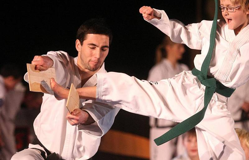 Ukázky aikida, taek-wonda, karate a dalších bojových sportů mohli v neděli odpoledne sledovat diváci v hale Vodova v brněnském Králově Poli.