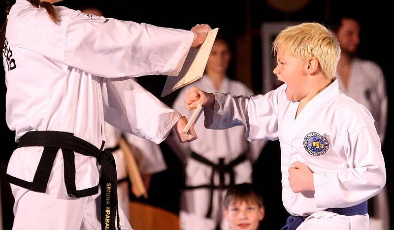 Ukázky aikida, taek-wonda, karate a dalších bojových sportů mohli v neděli odpoledne sledovat diváci v hale Vodova v brněnském Králově Poli.