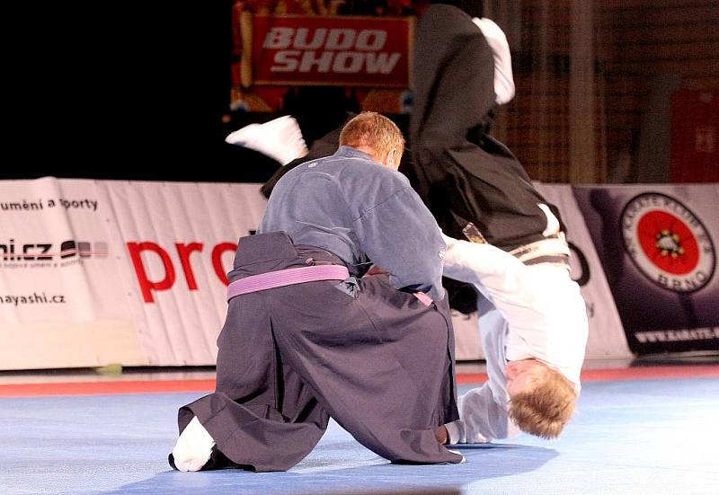 Ukázky aikida, taek-wonda, karate a dalších bojových sportů mohli v neděli odpoledne sledovat diváci v hale Vodova v brněnském Králově Poli.