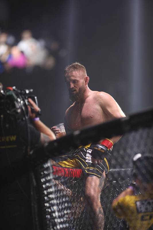 Naplněná brněnská Winning Group Arena viděla dvanáct dramatických bitev ve smíšeném bojovém umění MMA