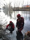 Opeřence se zlomeným křídlem odchytili ve středu dopoledne ve Svratce v brněnském Komárově hasiči specializující se na záchranu zvířat.