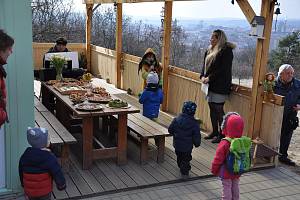 Lesní školku v lesoparku Akátky v Brně provozují představitelé Centra environmentálního vzdělávání a výchovy Zeměklíč.