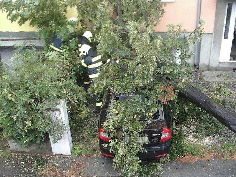 Na jihu Moravy při úterních bouřkách padaly stromy. Některé domácnosti zůstaly bez proudu.