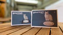 Nyní je krásná bílá kočka Astra hlavní tváří titulní stránky gastronomického průvodce GOURMET BRNO.