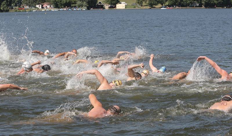 Brněnské plavecký maraton.