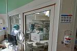 Dvanáct pacientů aktuálně leží s koronavirem v bohunické fakultní nemocnici v Brně.