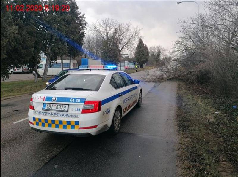 Silný vítr vyvracel stromy a lámal značky. S následky pomáhali brněnští strážníci.