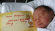 Hana Halajová, 19. 11. 2022, Kuchyňa, Nemocnice Břeclav, 49 cm, 3960 g