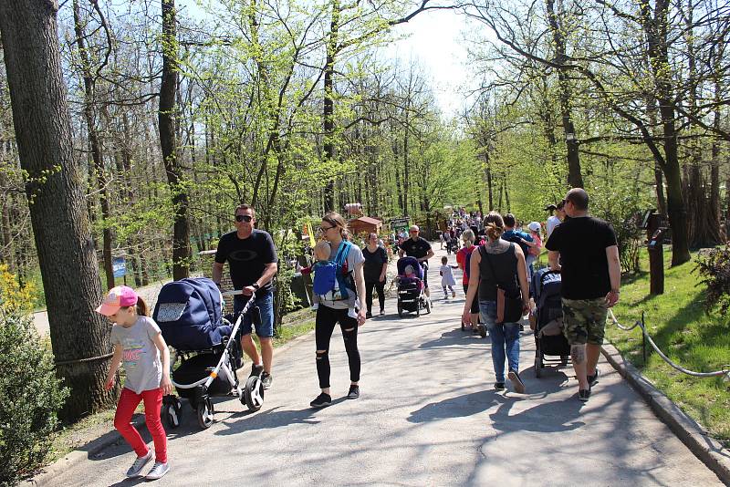 V pátek začal v brněnské zoologické zahradě speciální velikonoční program.