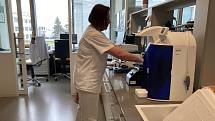 Laboratoř z oddělení patologie Masarykova onkologického ústavu, kde se nový test MammaPrint provádí.