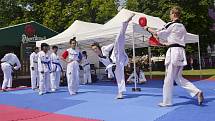 Taekwondisté na Olympijské festivalu v Brně.