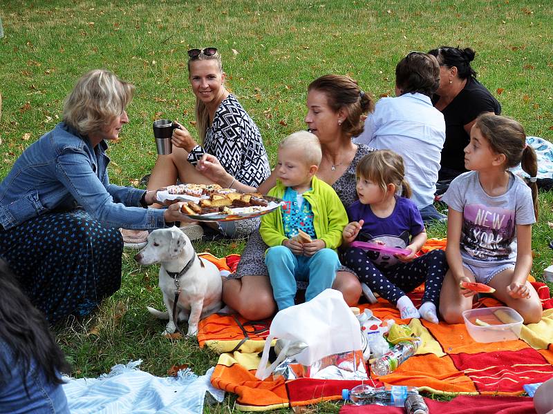 Akce Česko jde spolu na piknik vyzvala lidi z různých míst naší země, aby pořádali ve stejný čas piknik. Na snímku setkání v Teplicích roku 2019.