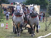 Na závodišti v Rosicích na Brněnsku se jel už patnáctý ročník vozatajských závodů chladnokrevných koňů, který byl kvalifikací na celostátní finále v Tlumačově.