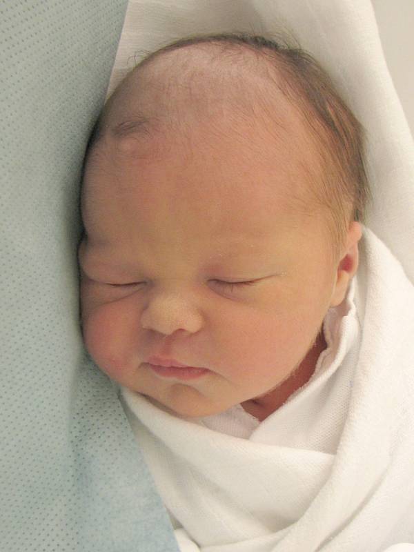 Amy Delilah Rautenbach z Brna nar. 5.4.2012