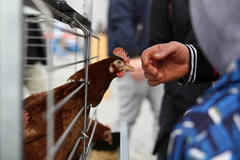 Na brněnském výstavišti začal v neděli veletrh TECHAGRO, jeden ze tří největších zemědělských veletrhů v Evropě.