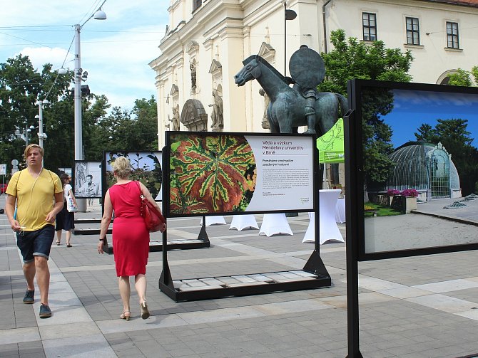 Mendelova univerzita v Brně přestavuje své vědecké projekty výstava vědeckých projektů Moravském náměstí u sochy Jošta.
