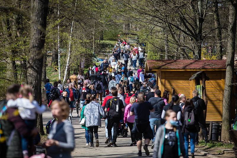 Víkendové slunečné počasí využily tisíce návštěvníků k prohlídce Zoologické zahrady v Brně.