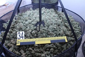 Celníci odhalili "smečku" pěstitelů marihuany. Našli u nich i extázi a samopal