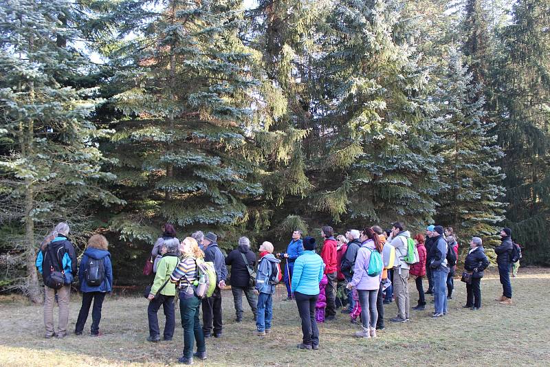 Lidé se v Arboretu Řícmanice dozvěděli spoustu zajímavostí o jehličnanech.