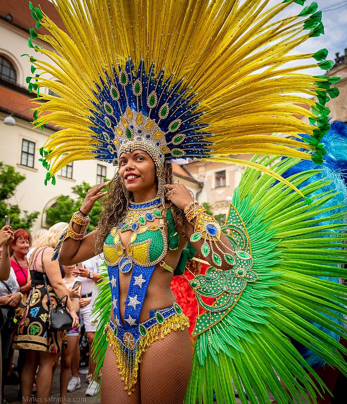 Rytmy Brasil Festu roztančily o uplynulém víkendu ulice Brna. Autorem fotografií je Matúš Šafránka.