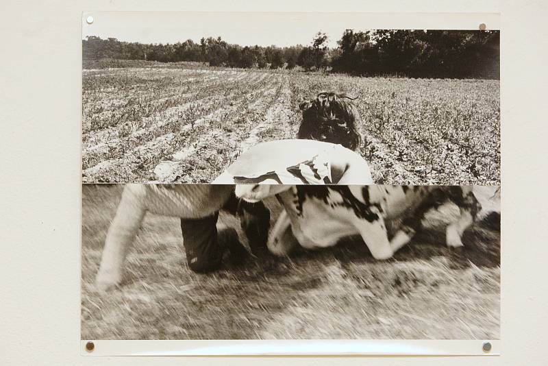 Výstava Práce s fotografií autora Dalibora Chatrného v Památníku Leoše Janáčka