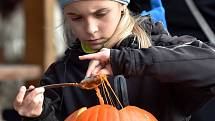 Dýním a strašidlům patřil sobotní podvečer v brněnské zoologické zahradě. Tisíce lidí tam přišlo již počtvrté oslavit americký svátek Halloween. 