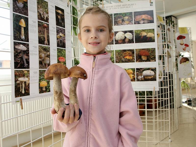 Houbařská výstava Mykologického klubu Brno.