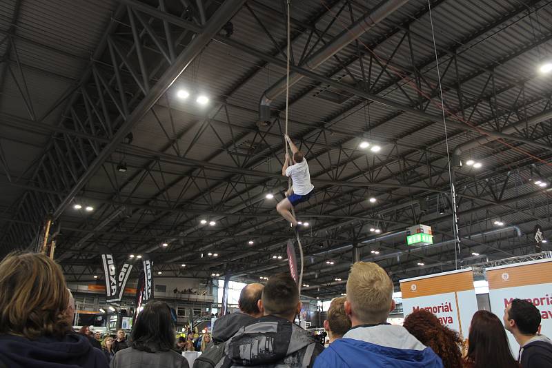 Nejrůznější druhy sportu, které se hrají ve stoje, vsedě i vleže, si mohli vyzkoušet návštěvníci festivalu Life! na brněnském výstavišti.