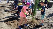 Několik desítek stromů sázely děti ze základní školy do prostoru za novým komunitním centrem v Přibicích na Brněnsku.