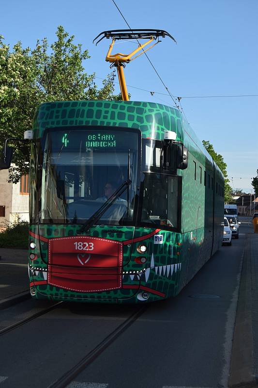 Brněnskými ulicemi jezdí už dvanáct nových tramvají Drak, na některých linkách se lidé svezou i staršími vozy.