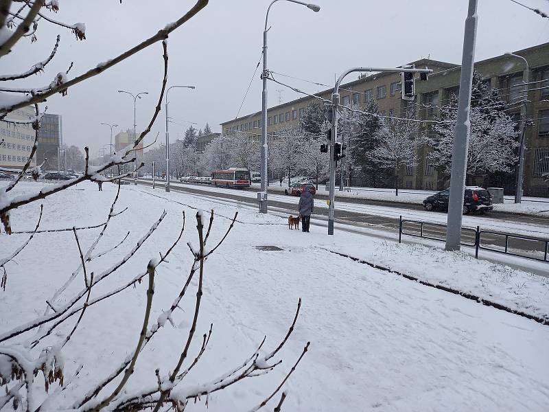 Brno zasáhlo od čtvrtečního rána husté sněžení.