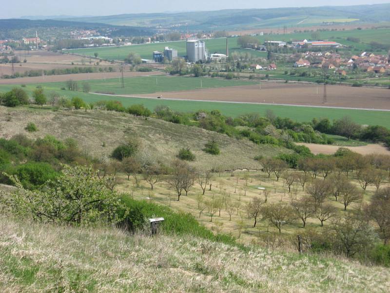 Nenápadný vrch Člupy ukrýval pozůstatky hradiště z doby kamenné. V současnosti je přírodní rezervací a evropsky významnou lokalitou.