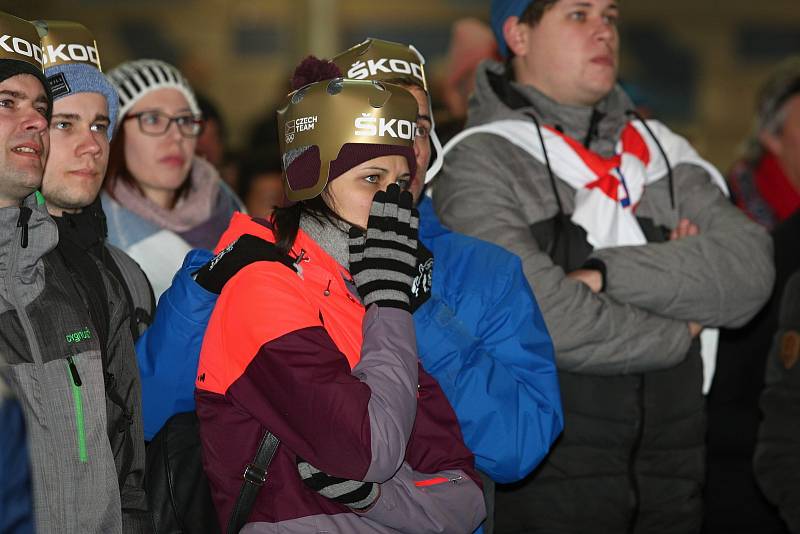 Fanoušci na Olympijském festivalu v Brně podporovali český hokejový tým všemi silami.