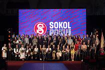 Ocenění Sokol roku 2020 si odnesly sportovní osobnosti.