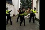 Populární taneční výzva Coronavirus Dance Challenge se rozšířila i do Brna. Zapojily se do ní brněnské strážnice ze služebny městské policie v severní části města.