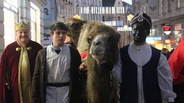 Diskuse: VIDEO: Tři králové na velbloudech prošli centrem Brna ...