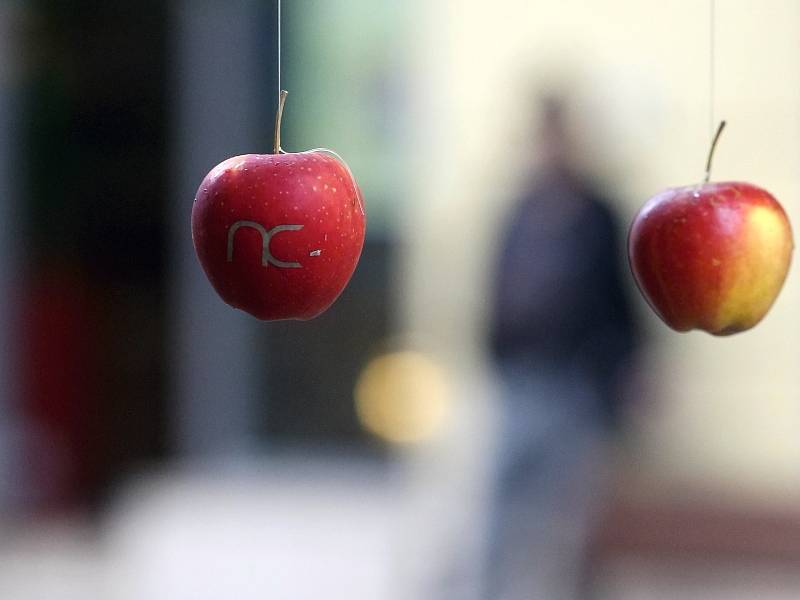 Zaměstnanci brněnské Newton College rozvěsili v brněnské Rašínově ulici jablka.