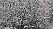 Dopravu v Brně a okolí v úterý dopoledne zkomplikovalo sněžení.